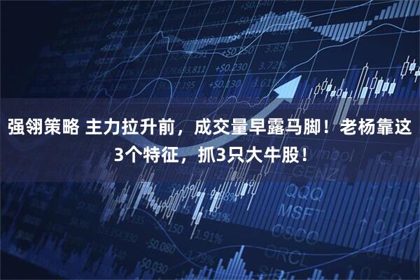 强翎策略 主力拉升前，成交量早露马脚！老杨靠这3个特征，抓3只大牛股！