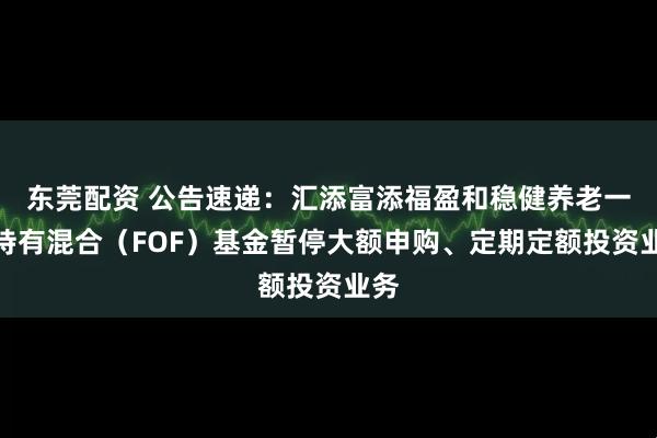 东莞配资 公告速递：汇添富添福盈和稳健养老一年持有混合（FOF）基金暂停大额申购、定期定额投资业务