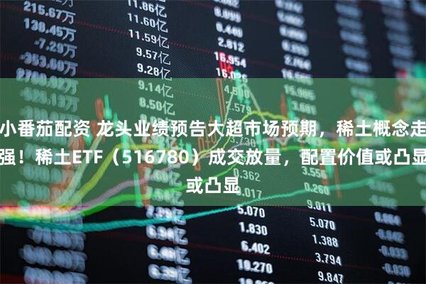 小番茄配资 龙头业绩预告大超市场预期，稀土概念走强！稀土ETF（516780）成交放量，配置价值或凸显