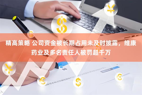 精高策略 公司资金被长期占用未及时披露，维康药业及多名责任人被罚超千万